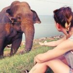 Day Excursions To Udawalawe National Park From Negombo - Udawalawe National Park: The Heart of the Safari