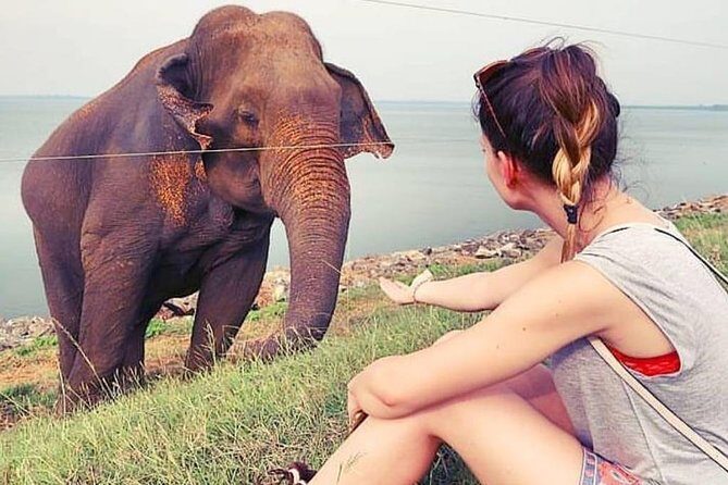 Day Excursions To Udawalawe National Park From Negombo