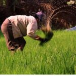 Day in a Life Authentic Village Experience in Siem Reap - Who Will Love This Experience?