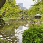 Day Tour All Three EDOs: Nikko to Kawagoe & the Imperial Palace - Final thoughts