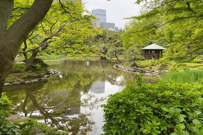 Day Tour All Three EDOs: Nikko to Kawagoe & the Imperial Palace - Final thoughts