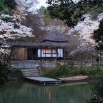 Day Tour to Yutoku Inari Shrine & Sachihime Sake Brewery| Fukuoka - Who Will Love This Tour?