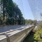 Day Trip MIHO Museum and Shigaraki from Kyoto by Private Car - The Ultimate Guide to Your Private Kyoto Day Trip