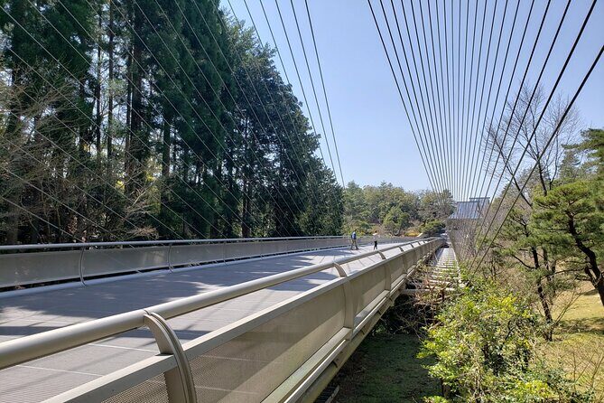 Day Trip MIHO Museum and Shigaraki from Kyoto by Private Car - The Ultimate Guide to Your Private Kyoto Day Trip