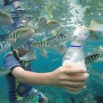 Day Trip: Nusa Penida Snorkling - Who Should Consider This Tour?