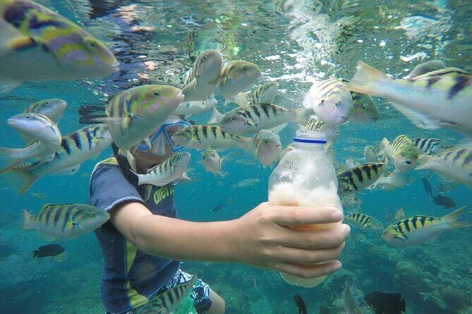 Day Trip: Nusa Penida Snorkling - Who Should Consider This Tour?