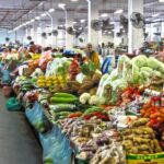 Day Trip Sepilok Orang-utan And City Tour (Flight Excluded) - Practical Details and Tips