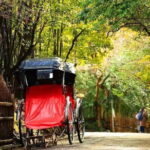 Day Trip to Arashiyama Nara Yasaka Shrine Hanamikoji from Osaka - A Full-Day Itinerary of Japan’s Cultural Gems