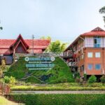 Day Trip to Kinabalu Park and Poring Hot Spring Guided Tour - The Sum Up