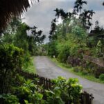 Day Trip to Mawlynnong (Guided Private Sightseeing Experience from Shillong) - What Makes This Tour Stand Out?