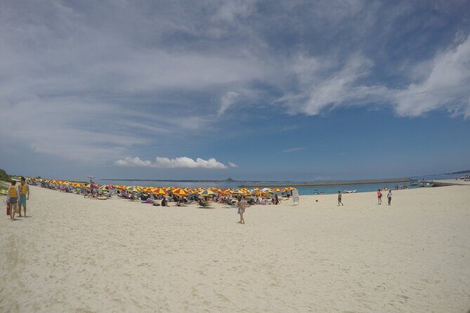 Day Trip to Minna Island Beach with Snorkeling Options - Underwater Encounters and Crowds