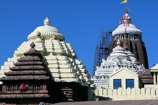 Day Trip to Puri (Guided Private Sightseeing Experience from Bhubaneswar) - Why This Tour Can Be a Great Choice