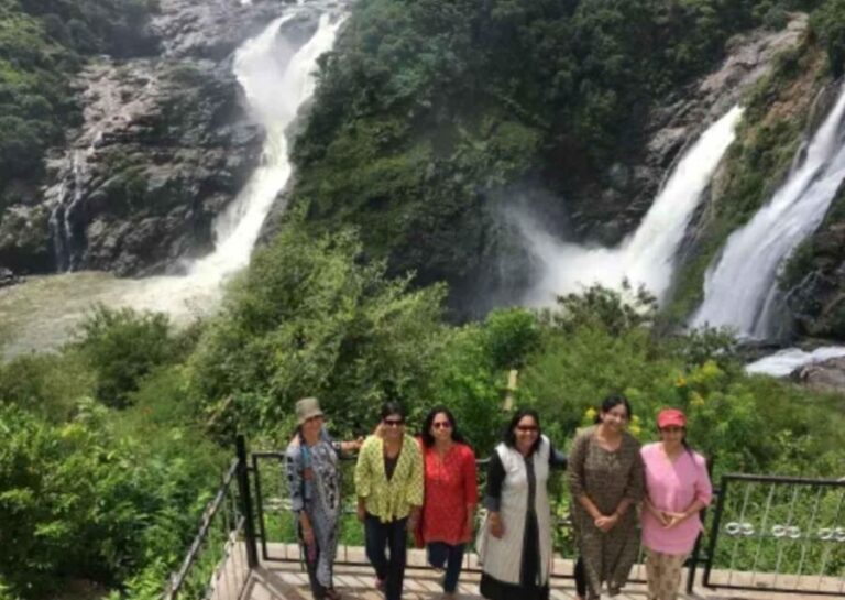 Day Trip to Shivanasamudram (Guided Tour from Bangalore) - Who Will Enjoy This Tour?