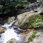 Day Trip to Yakushima by High Speed Jetfoil Toppy from Kagoshima - Practical Tips for Your Trip