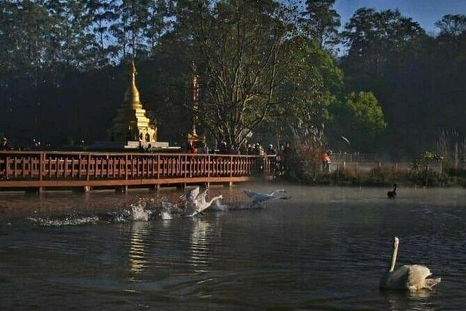 Day Trip Tour From Mandalay To Pyin Oo Lwin - Why This Tour Is a Great Choice