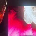 Daytime Roppongi Walk, Art, Food and Views with a Local - Who Should Book This Tour?