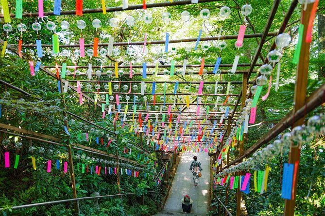 Dazaifu, Nyoirinji Temple, Yufuin, Yufuin no Mori Day Tour - Who Should Consider This Tour?