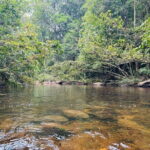 Dediyagala Village Tour(from Galle, Mirissa, Ahangama, Matara) - Practical Details and Tips