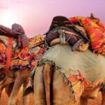 Delhi:- 06- Days Rajasthan, Heritage, Forts & Cultural Tour - FAQs