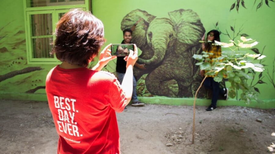 Delhi Hidden Gems Tour: Art, History & Heritage Parks - Frequently Asked Questions (FAQs)