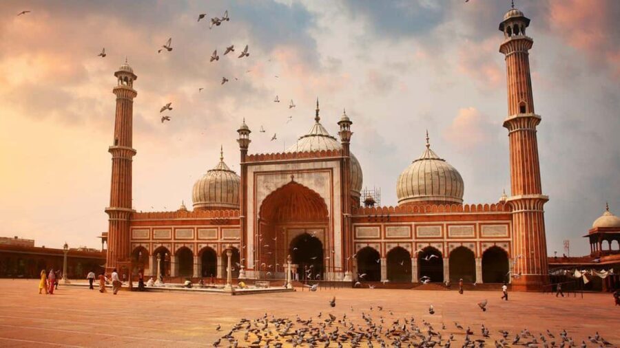Delhi: Old and New Delhi Private Full or Half-Day Tour - What Makes This Tour Stand Out?