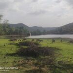 Delhi: Private 3-Days Jaipur & Ranthambore Tiger Safari Tour - The Value of This Tour