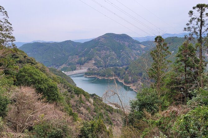 Deluxe Private Tour: Hita, AOT Statues and Onsen from Fukuoka - Who Will Love This Tour?