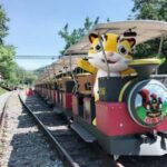 Departing from Taipei or Taichung: Deep travel in Miaoli - Practical Details: What to Expect and How to Prepare