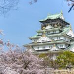 Departure Private Transfers: Osaka City to Kansai Airport KIX in Business Car - Why Choose This Transfer?