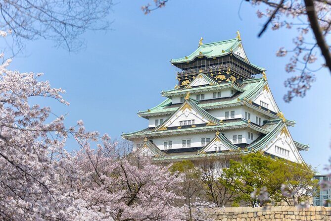 Departure Private Transfers: Osaka City to Kansai Airport KIX in Business Car - Why Choose This Transfer?