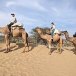Desert Camel Safari Day Tour In Jodhpur - What’s Included and What’s Not