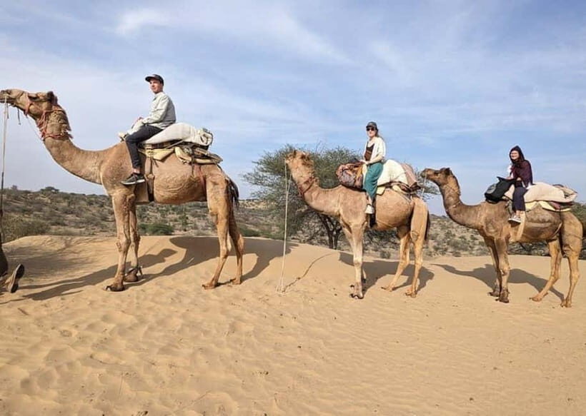 Desert Camel Safari Day Tour In Jodhpur - What’s Included and What’s Not