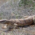 Desert Yurt Camp tour - 2 days (shared) - Who Should Consider This Tour?