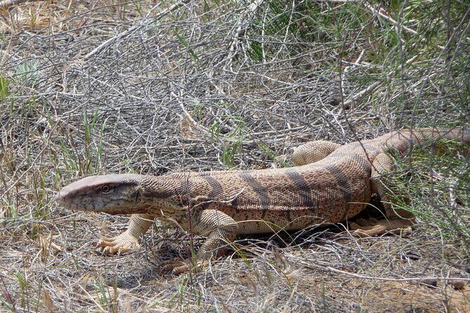Desert Yurt Camp tour - 2 days (shared) - Who Should Consider This Tour?