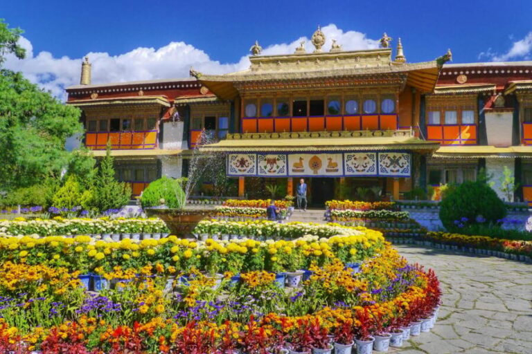 Dharamshala Full Day Tour - Exploring Dharamshala: What You Can Expect