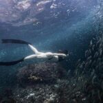 Discover Freediving One Amazing Day - Frequently Asked Questions