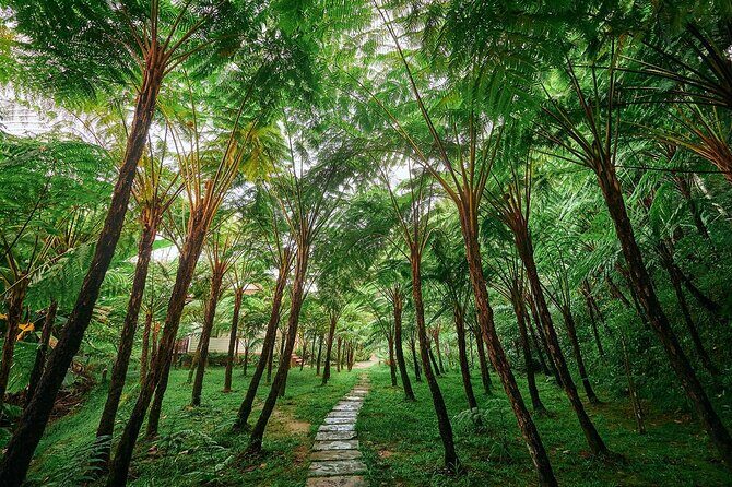 Discover Full Day Tour Doi Inthanon National Park from Chiang Mai - The Sum Up