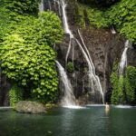 Discover Hidden Bali Waterfalls in Private All Inclusive Tour - FAQ