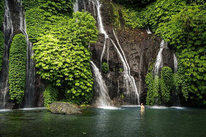 Discover Hidden Bali Waterfalls in Private All Inclusive Tour - FAQ