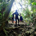 Discover Ishigaki's Hidden Treasures Snorkeling Tour at BlueCave - Who Should Consider This Tour?