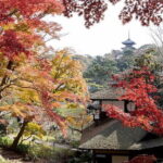 Discover Japan Your Way - The Value in Context