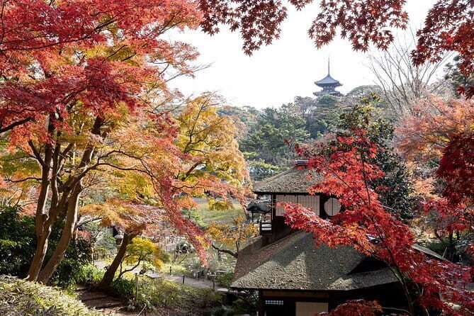 Discover Japan Your Way - The Value in Context