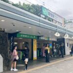 Discover Kawaii Harajuku Lolita Guide Street Food and Fashion - A Detailed Look at the Experience