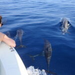 Discover Maafushi in 4 Nights 5 Days (Tour A) - Who This Tour Is Perfect For