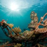 Discover Scuba Diving in Pemuteran at the Biorock site,1 shore dive all included - What Sets This Tour Apart?