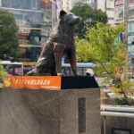 Discover Shibuya Culture and Street Life with a Local Guide - Why This Tour is Worth It