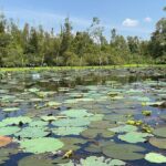 Discover Tan Lap Floating Village: A Tranquil Mekong Delta Escape - Practical Aspects and Value