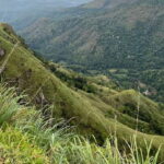 Discover the Best of Sri Lanka in 2 Days - What the Tour Includes and What to Consider