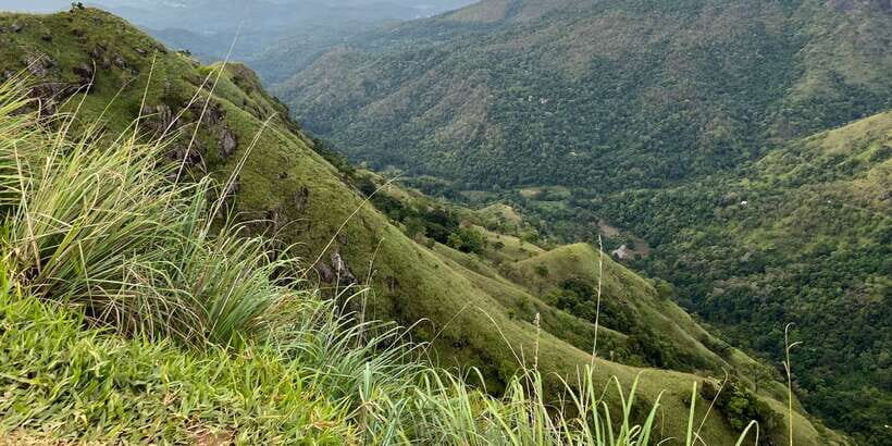 Discover the Best of Sri Lanka in 2 Days - What the Tour Includes and What to Consider