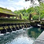 Discover The Best of Ubud: All-Inclusive and Private Guided Tour - Final Thoughts